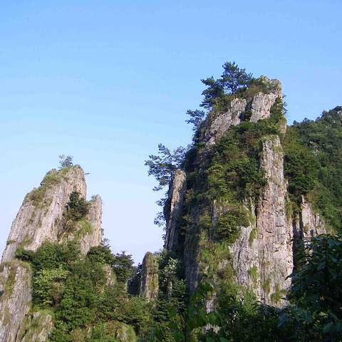 科技護(hù)林，走進(jìn)‘清涼峰’